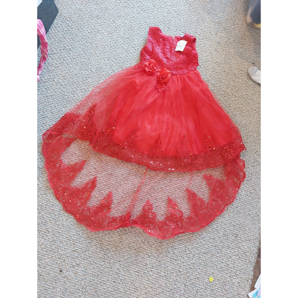 carisa Other - Girls size 18/160 Formal Christmas Dress,nwt